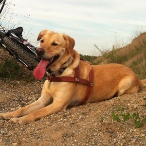 Meet your Posher, Adrian